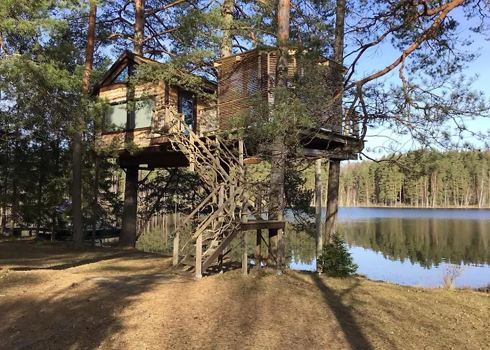Treehouse Ciekurs