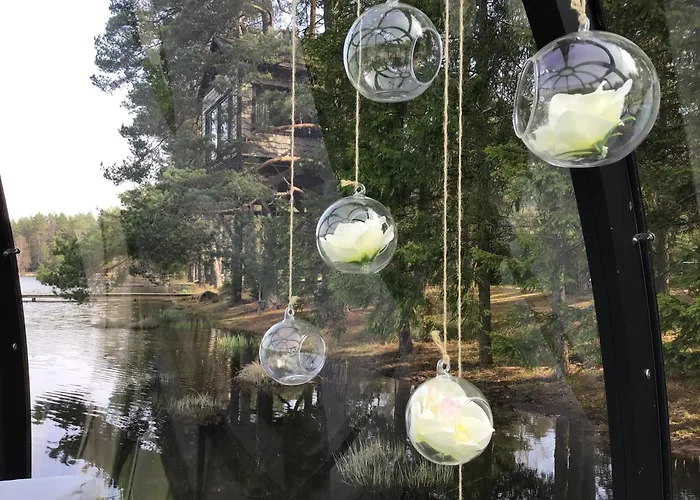Treehouse Ciekurs