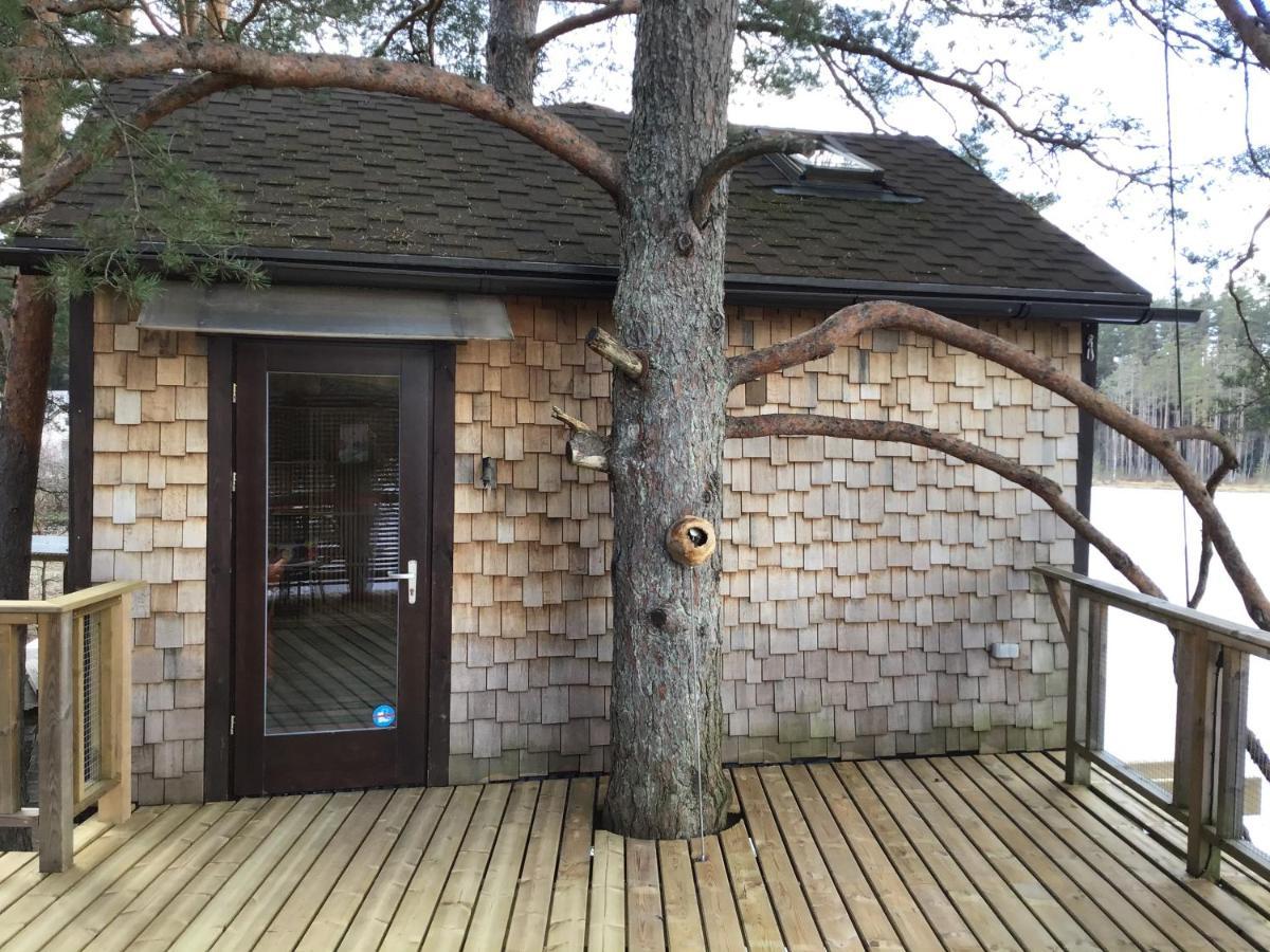 Holiday home Treehouse Ciekurs Dukuri
