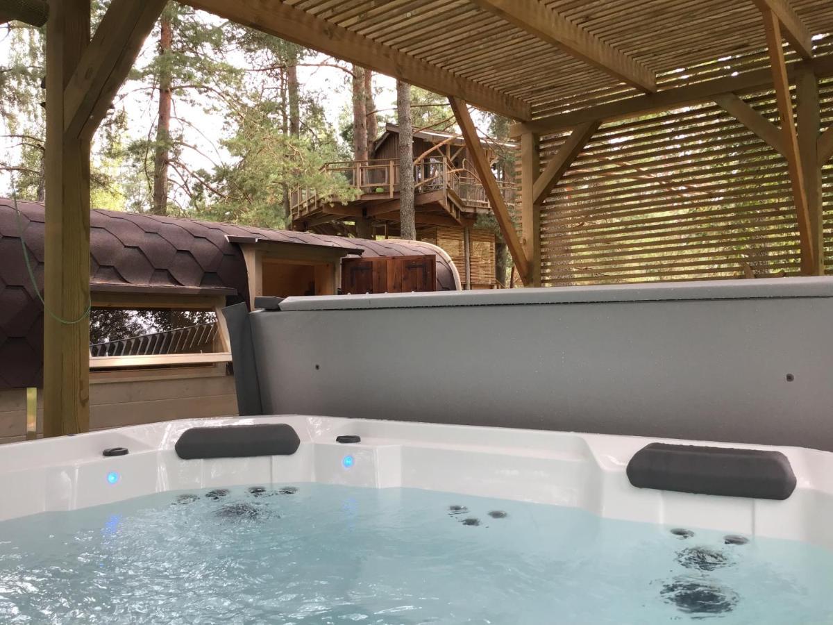 Treehouse Ciekurs