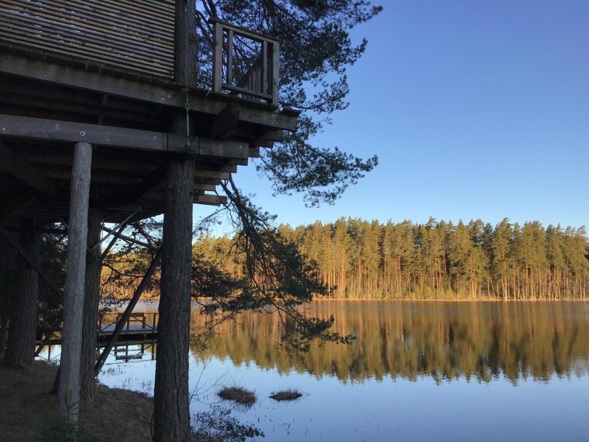 Treehouse Ciekurs Holiday home *