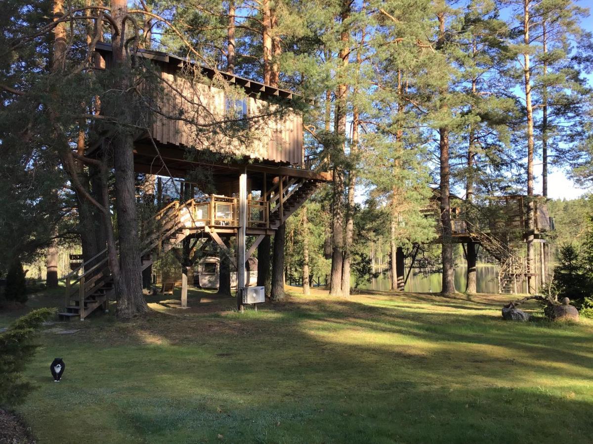 Treehouse Ciekurs Holiday home *