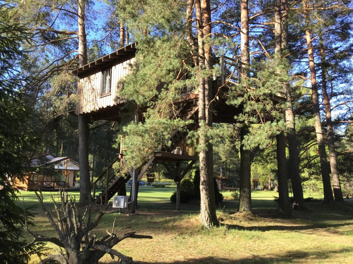 Holiday home Treehouse Ciekurs Dukuri