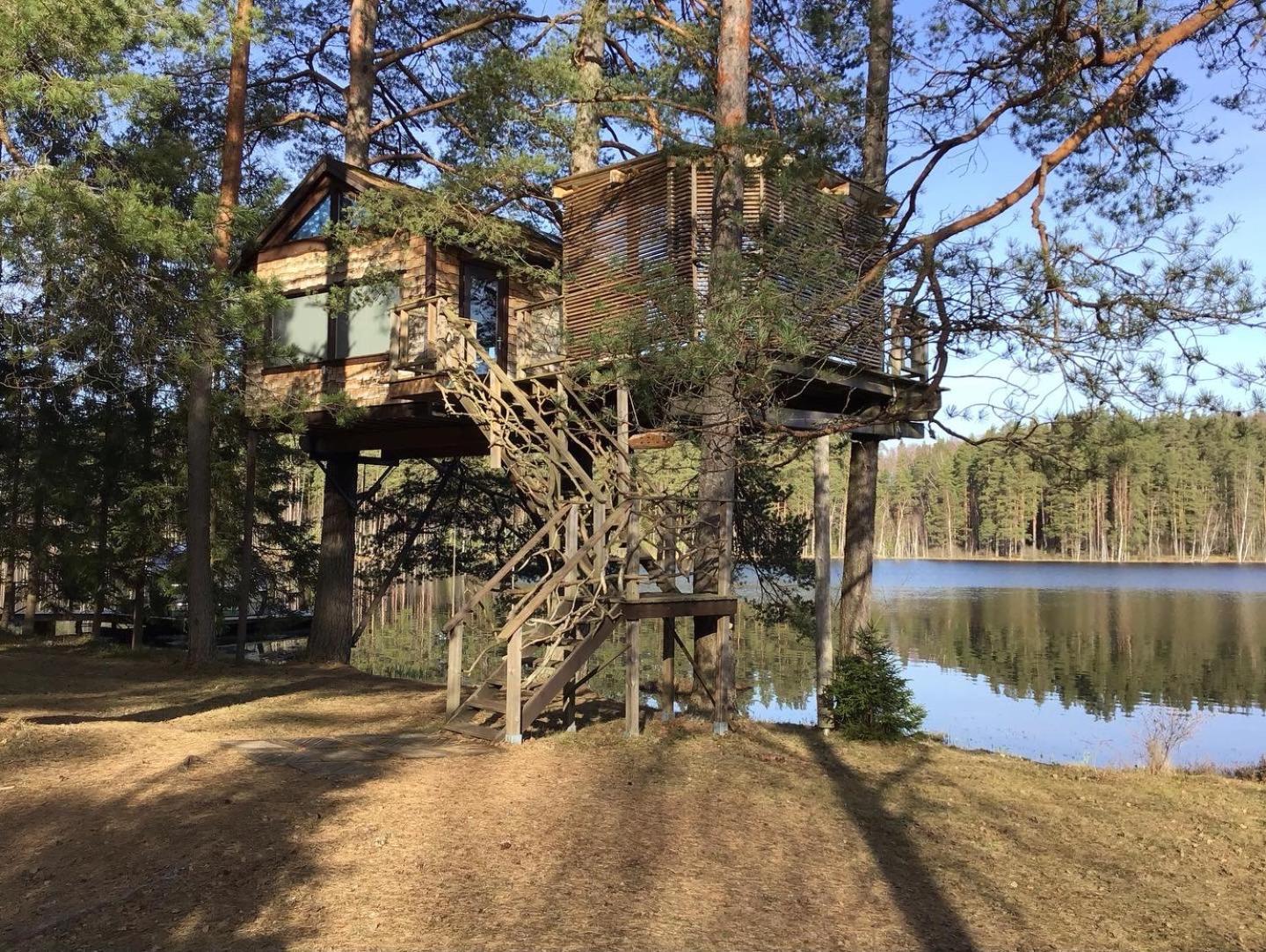 Treehouse Ciekurs * Dukuri