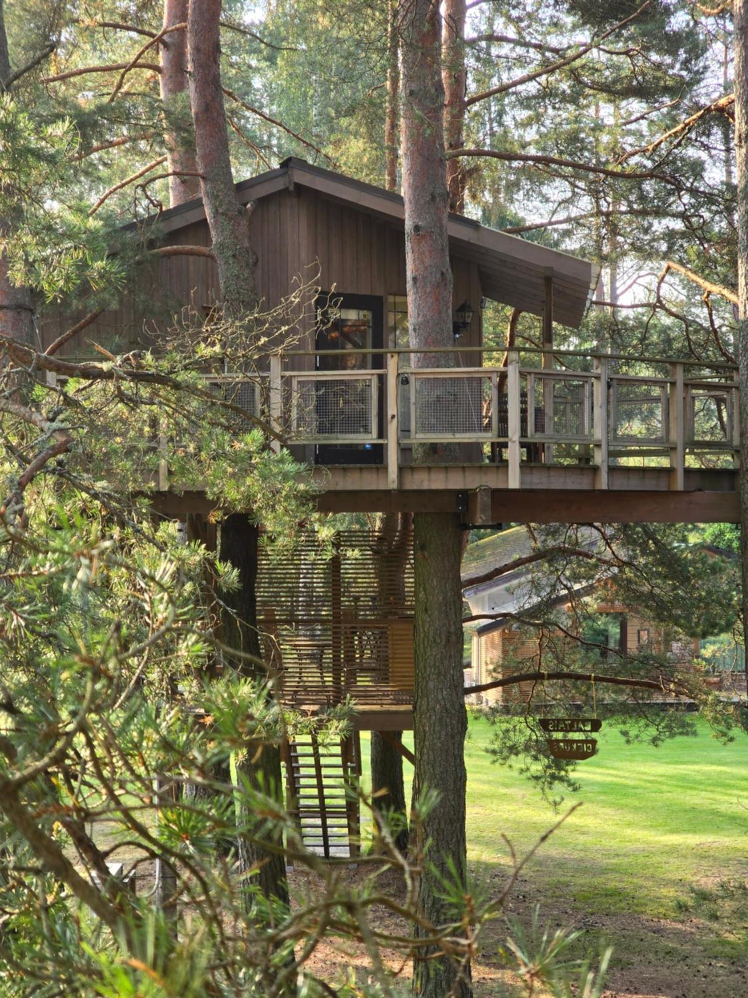 Treehouse Ciekurs Holiday home