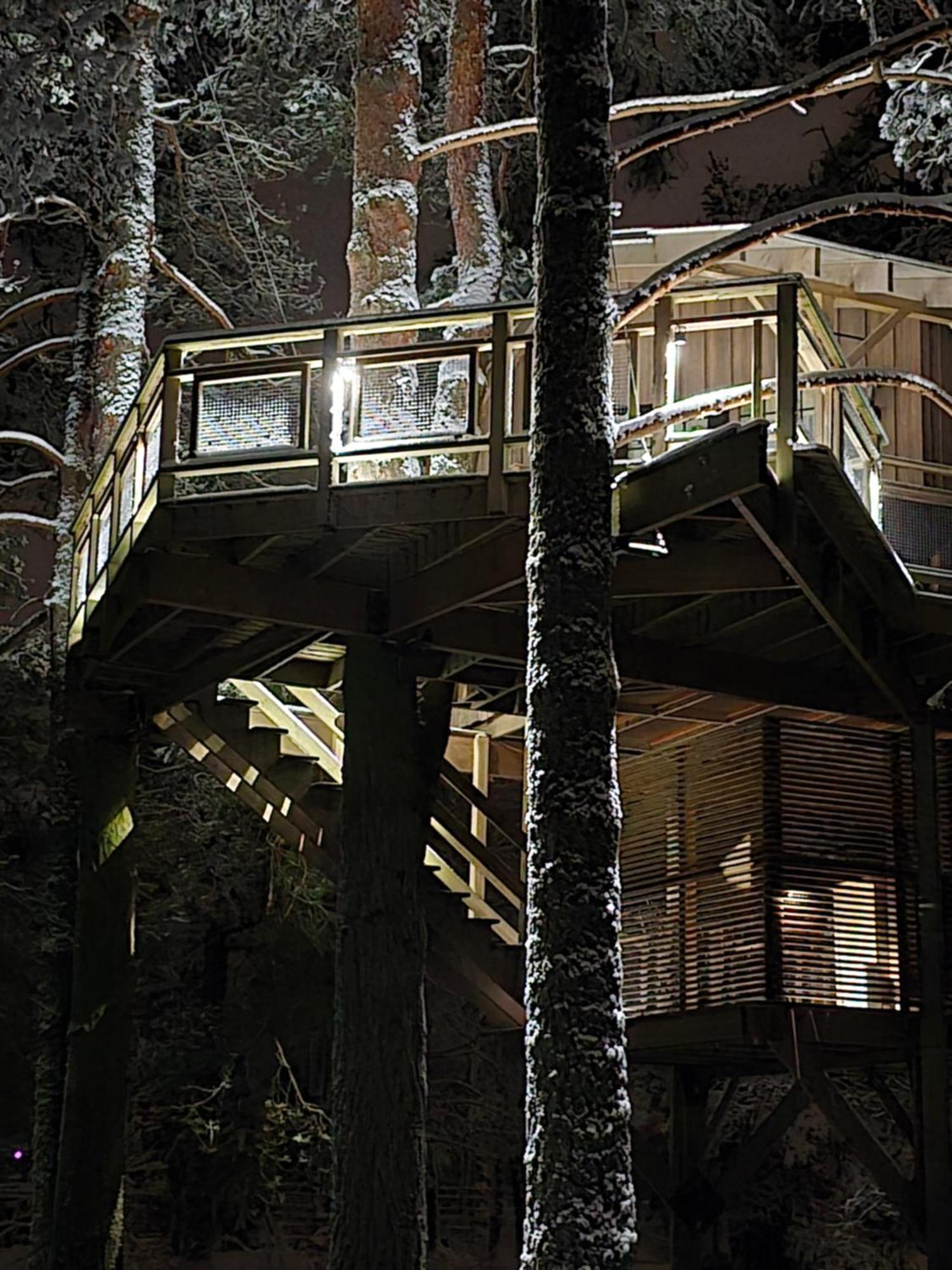 Treehouse Ciekurs *