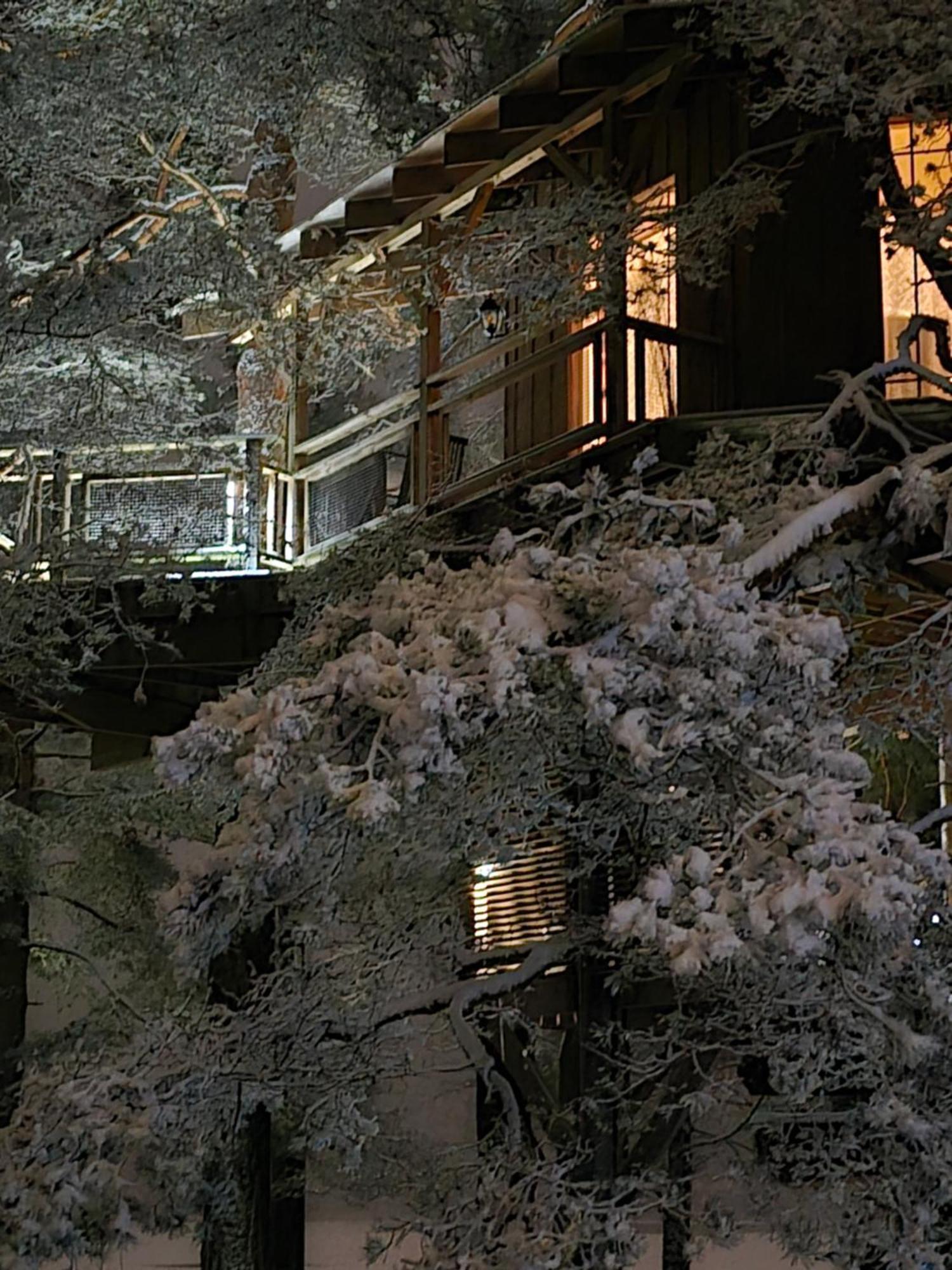 Treehouse Ciekurs * Dukuri
