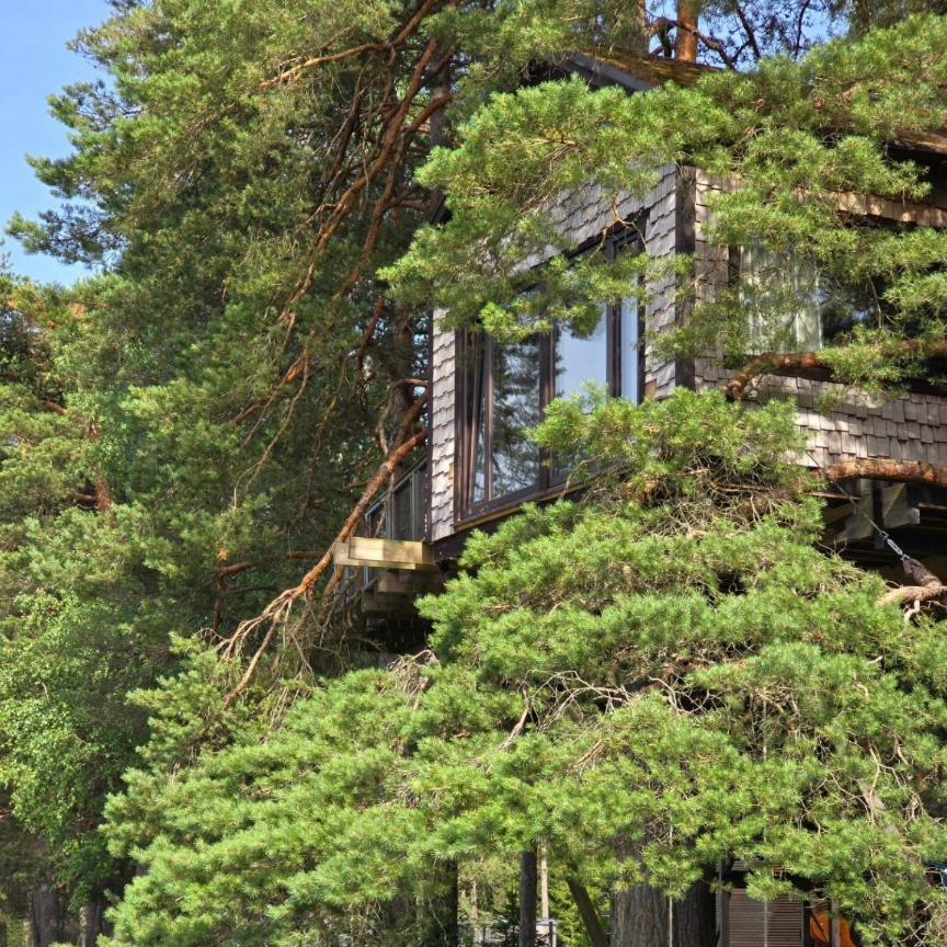 Holiday home Treehouse Ciekurs