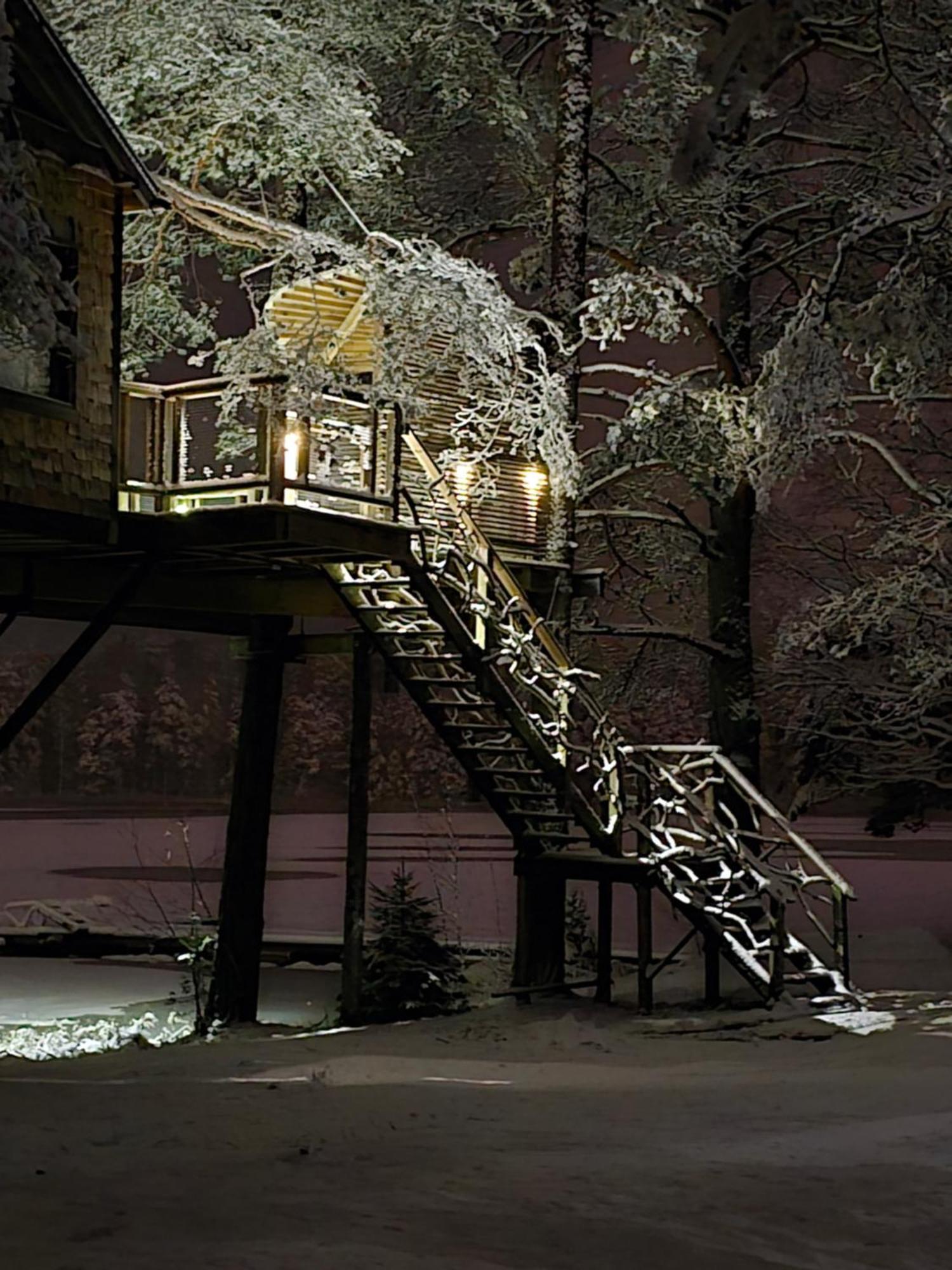 Treehouse Ciekurs Holiday home