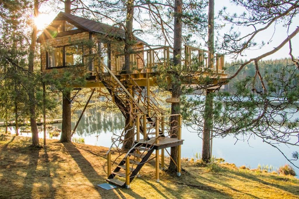 Treehouse Ciekurs * Dukuri
