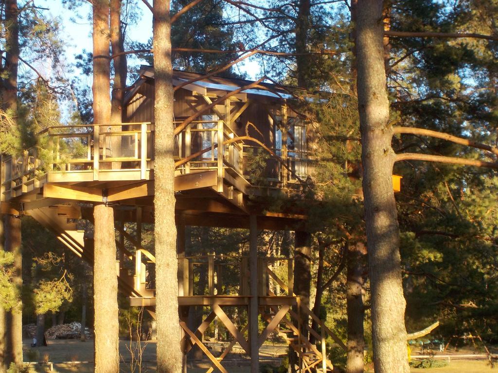 Treehouse Ciekurs * Dukuri