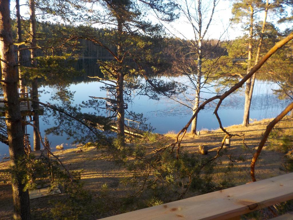 Holiday home Treehouse Ciekurs