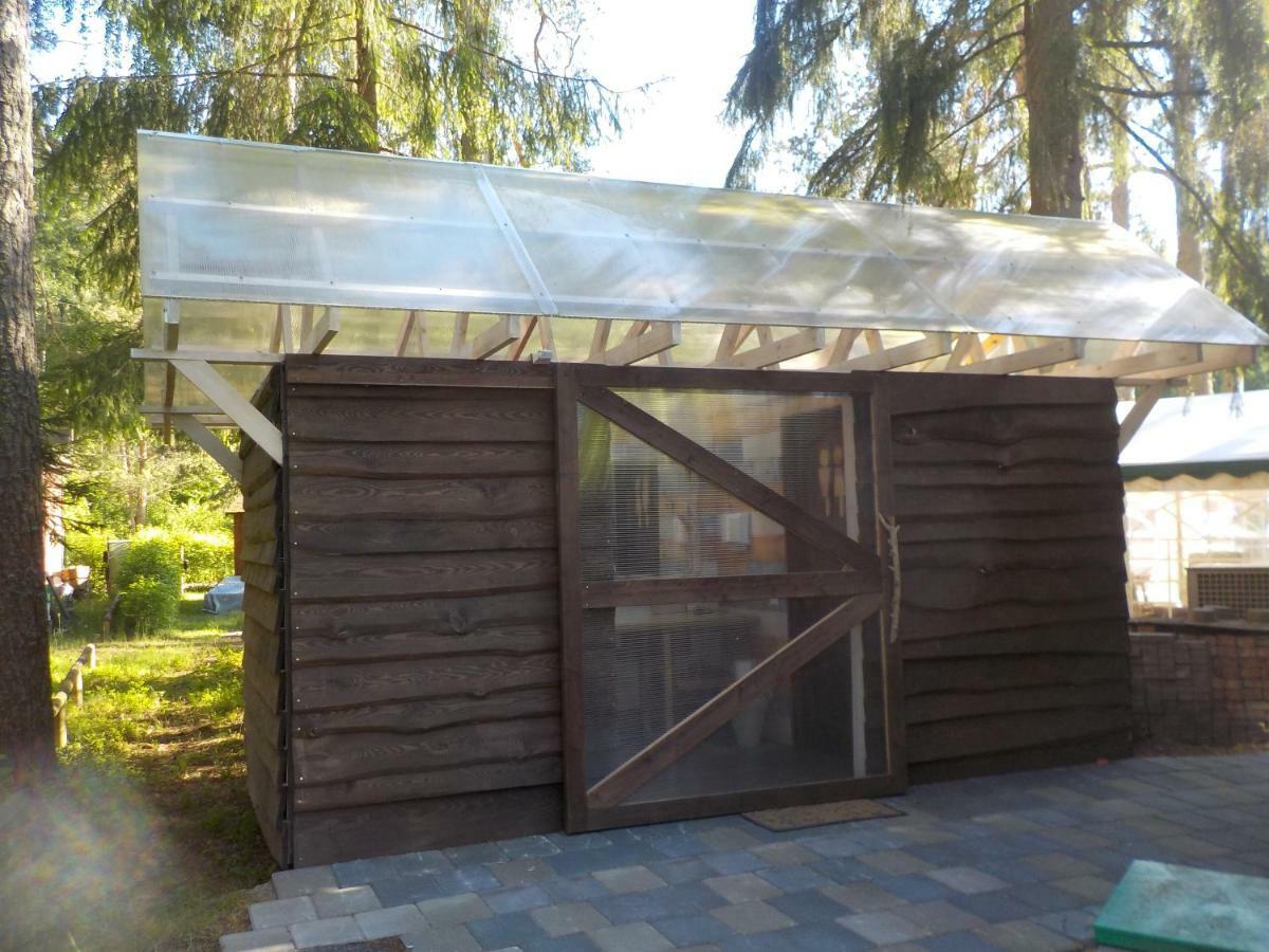 Treehouse Ciekurs *