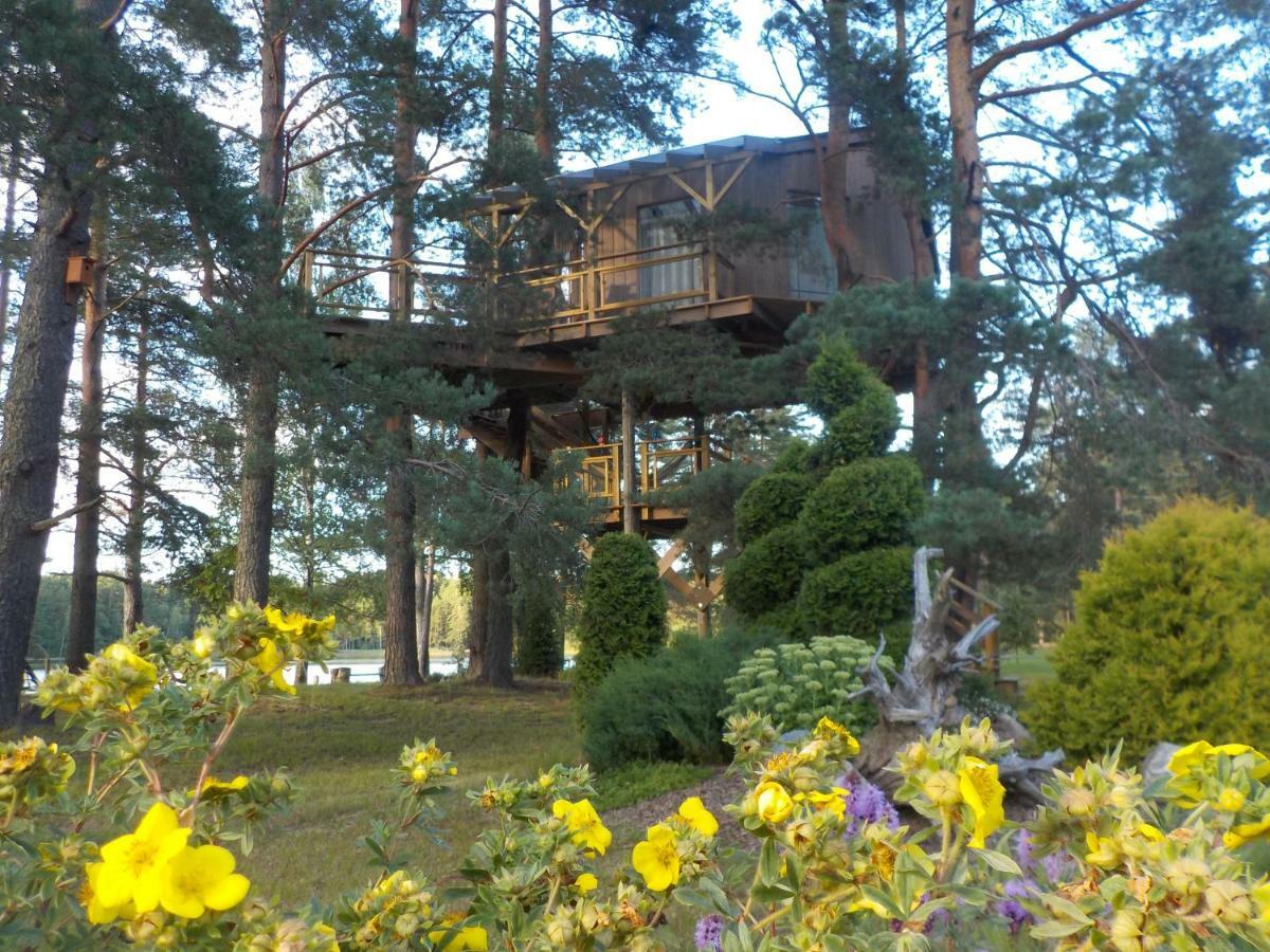 Treehouse Ciekurs
