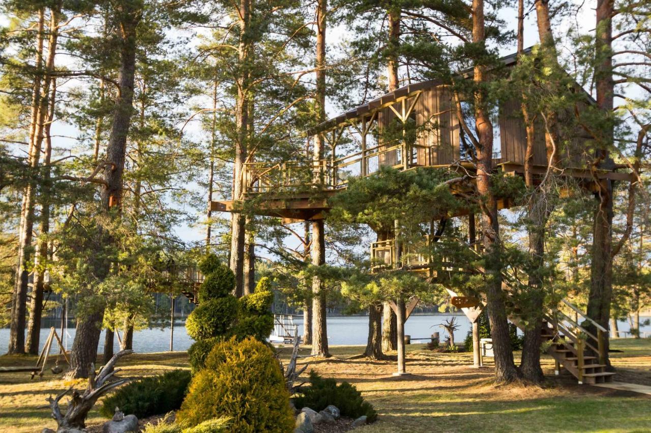 Treehouse Ciekurs Holiday home
