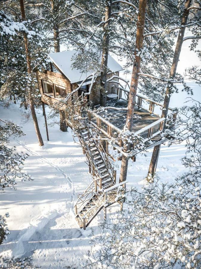 Treehouse Ciekurs Holiday home Dukuri
